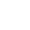 000 pest control_spider