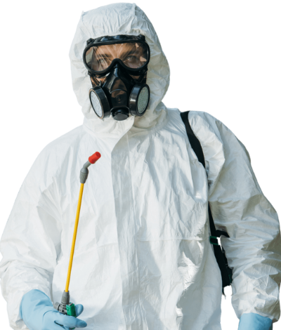 commercial pest exterminator melbourne commercial pest exterminator melbourne
