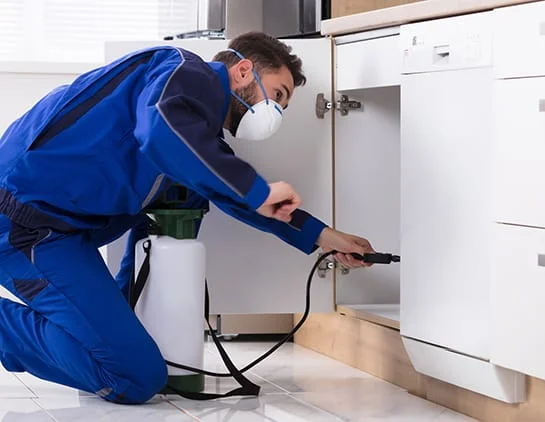 Advanced pest control equipment