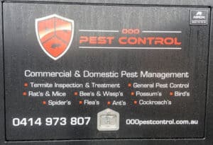 Termite control exterminator